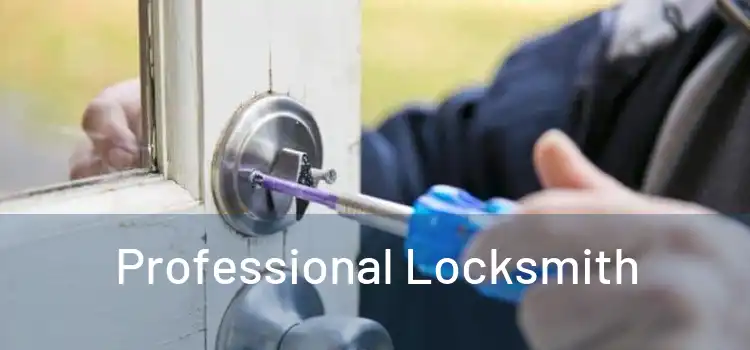 Professional Locksmith 